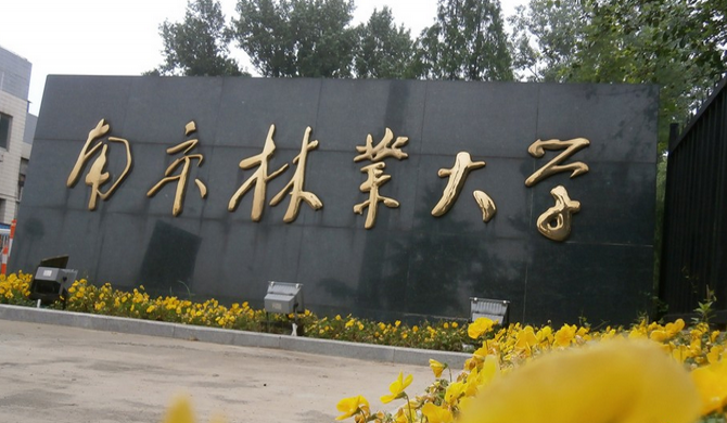 南京锁金村国展南林大两室住宿推荐