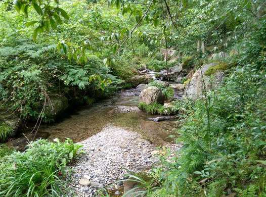 201607152219262106_390_390.jpg